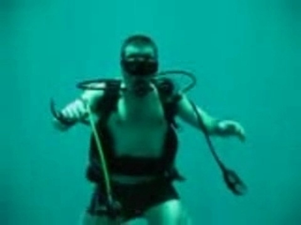 nemo 33