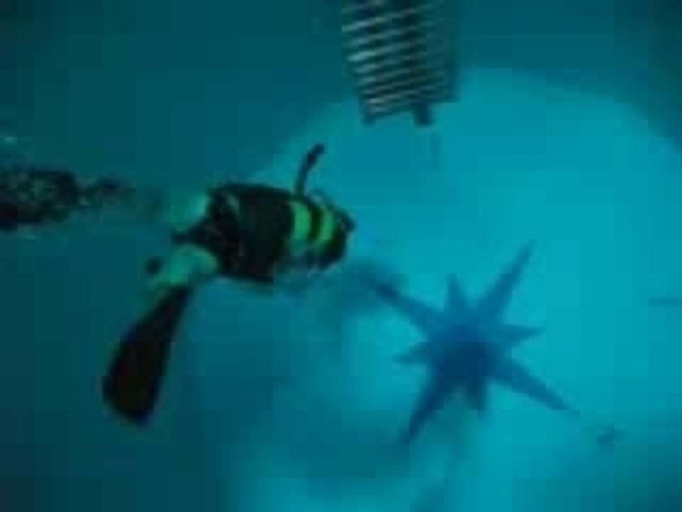 nemo33