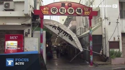 Japon : le typhon Neoguri provoque d'importantes inondations à Okinawa