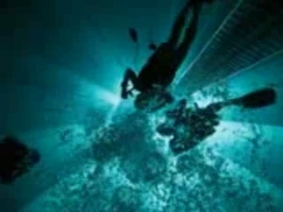 nemo 33