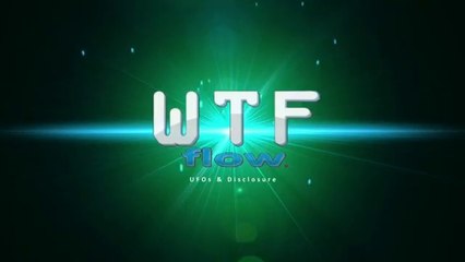 UFOs. activitée aux dessus d une  Foret, 07.2014