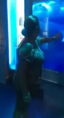 Les dents de l'aquarium