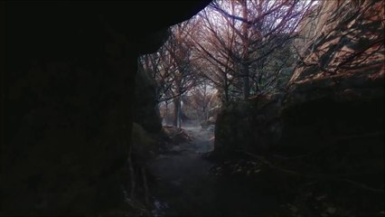 Dragon Age Inquisition Ambience Music