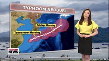 Typhoon Neoguri dumps rain nationwide