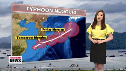 Typhoon Neoguri dumps rain nationwide