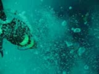 nemo 33
