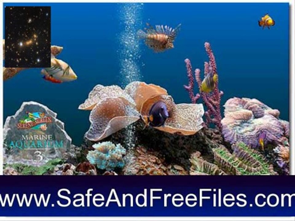 Get SereneScreen Marine Aquarium 3.6.1 Serial Key Free Download