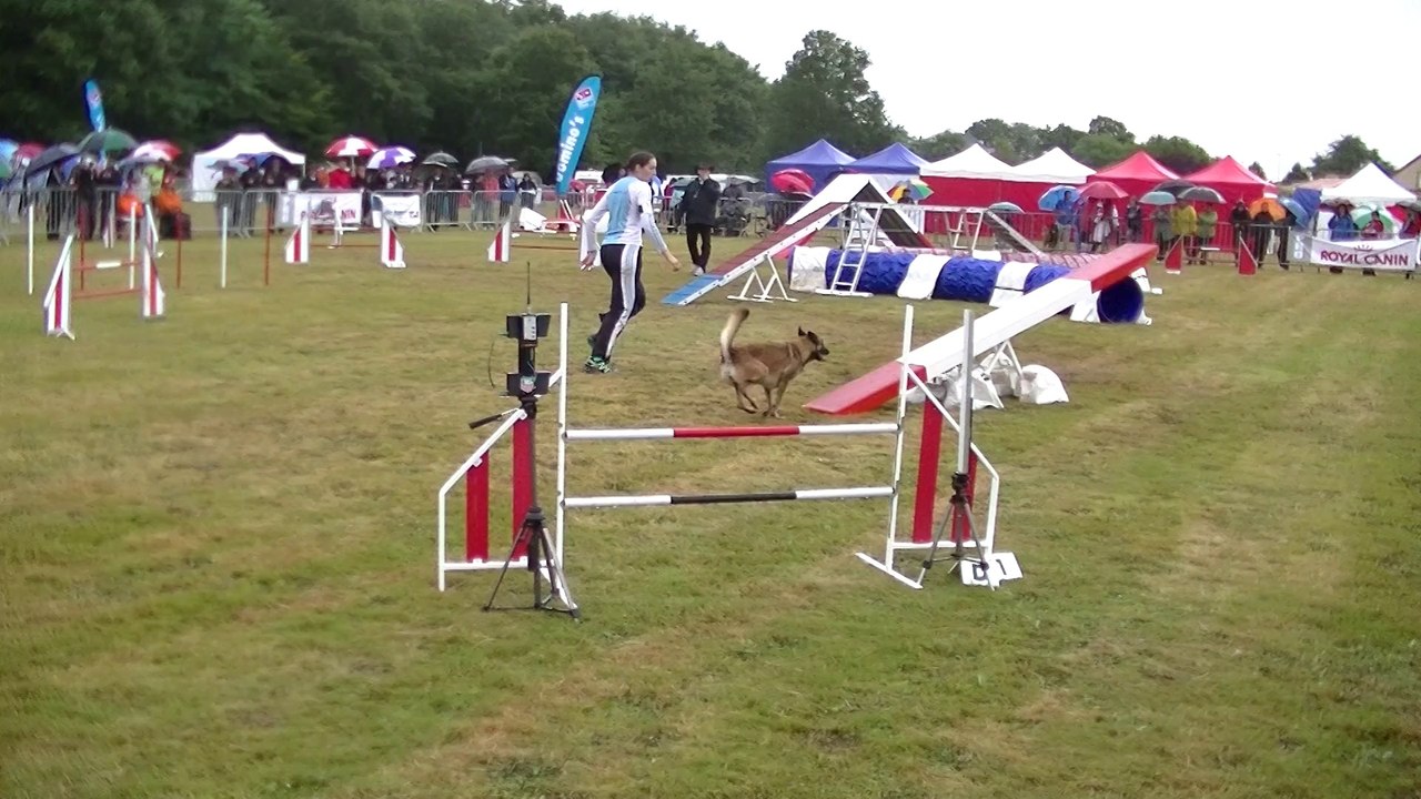 GPF agility 2