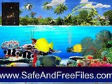 Get Great Barrier Reefs 1.0 Serial Key Free Download