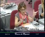 Roma - Audizioni sul decreto per la semplificazione - AUAPS, ANAPS, FLEPAR (08.07.14)