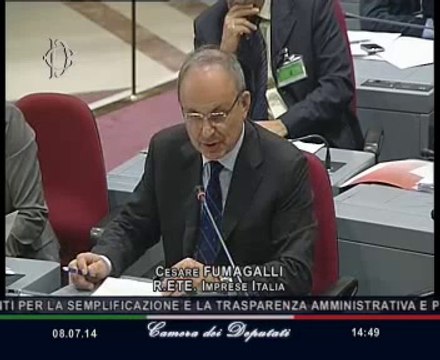Roma - Audizioni sul decreto per la semplificazione - R.ETE. imprese Italia (08.07.14)