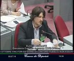Roma - Audizioni sul decreto per la semplificazione - Alessio Mercanti (08.07.14)