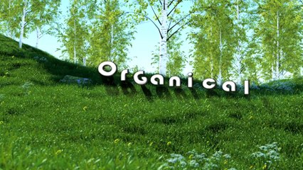 Organical Botanicals | Rare, Exotic, Seeds - Herbs - Specimens