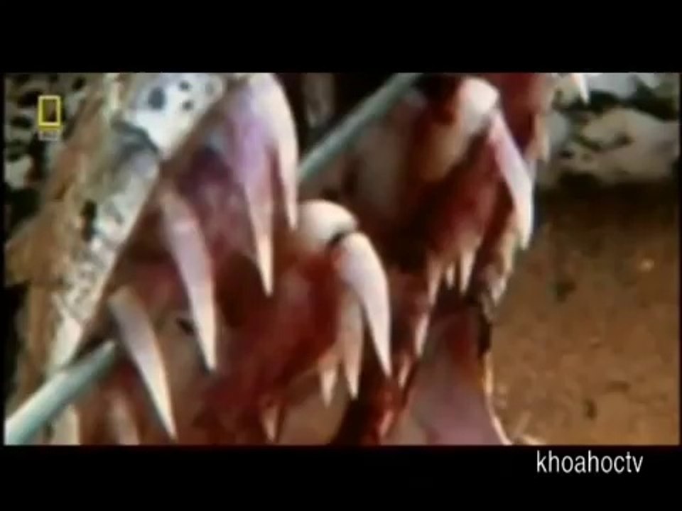 cho thuê sân khấu , nhà bạt mái che sự kiện  - cho thuê nhà bạt không gian tại hà nội 0967 20 2222