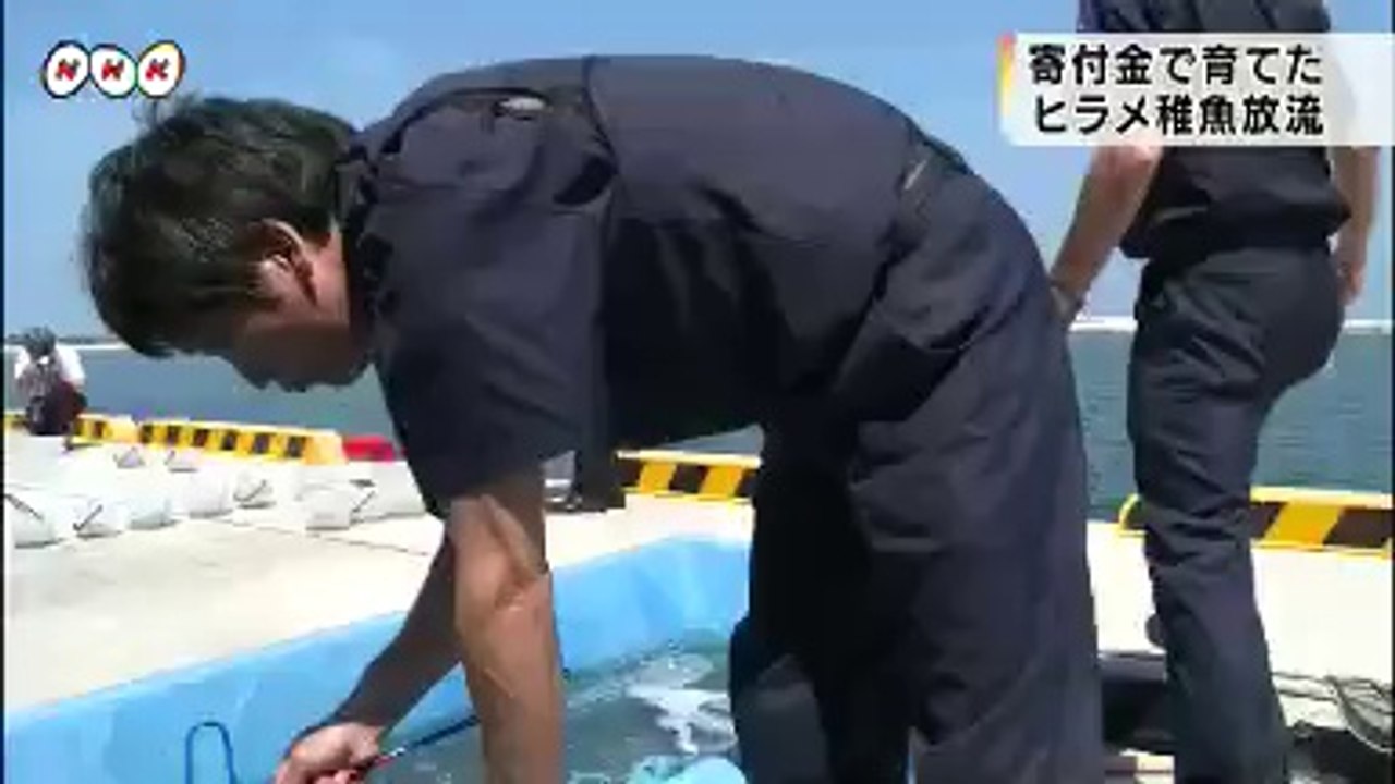 20140708寄付金で育てたヒラメ稚魚放流　福島