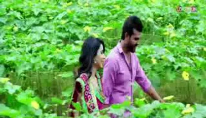 Bharat food & agro products