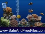 Get Free Fish Screensaver 2 Activation Code Free Download