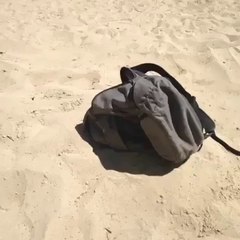 What's Inside This Bag?