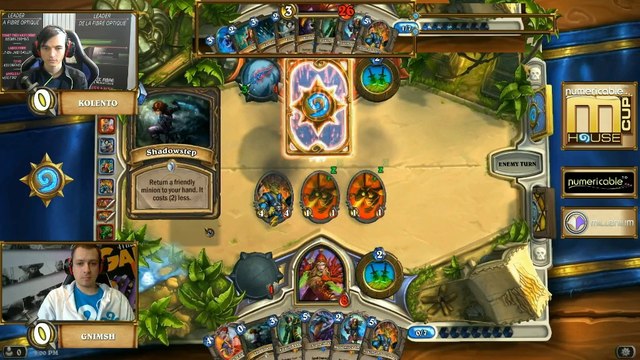 Gnimsh vs Kolento - Finale Loser Bracket - Numericable Cup Hearthstone