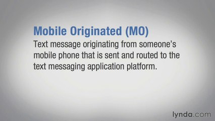 Key terms for messaging campaigns