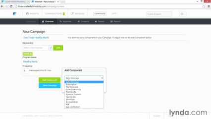 Setting up a messaging campaign