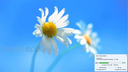 Idrive,Animation Company California brandepix.com