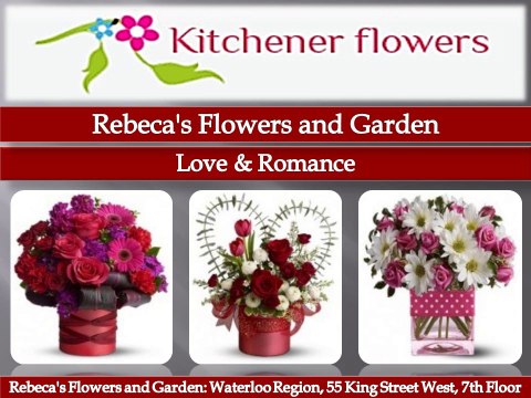 Rebeca's Flowers and Garden