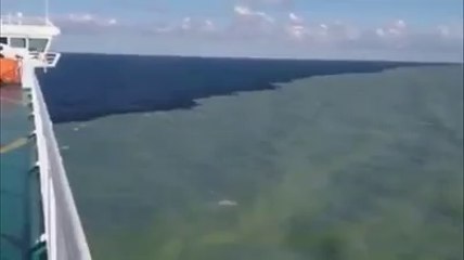 A greatest miracle.GOD iS GREAT