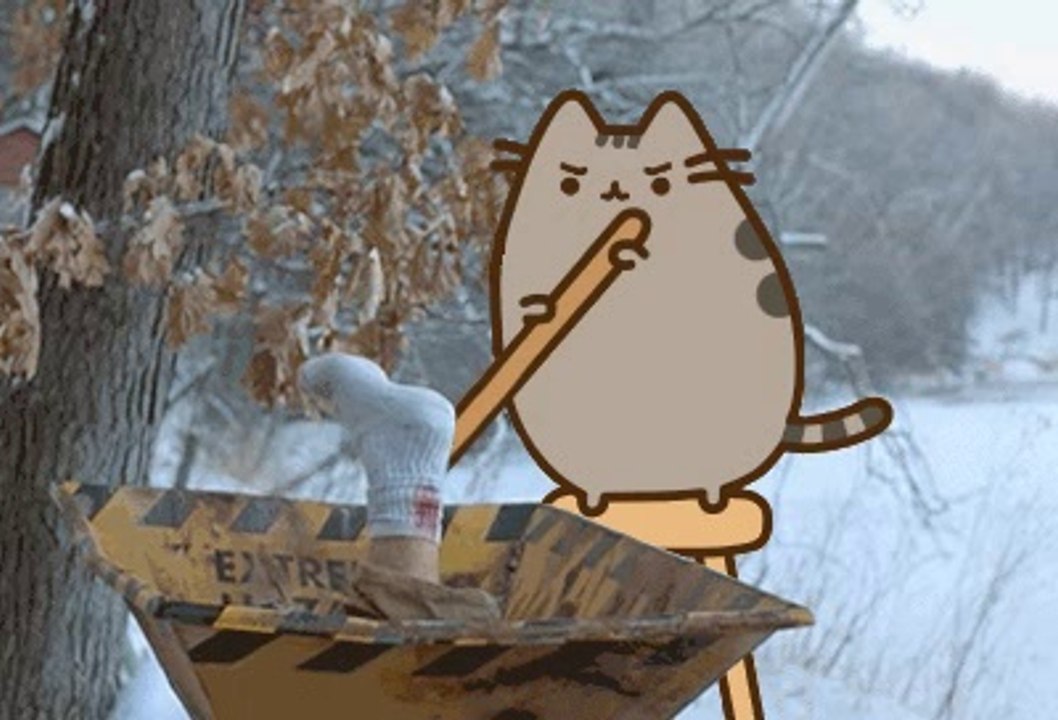 BASTARD CAT KILLER OMICIDE FUNNY