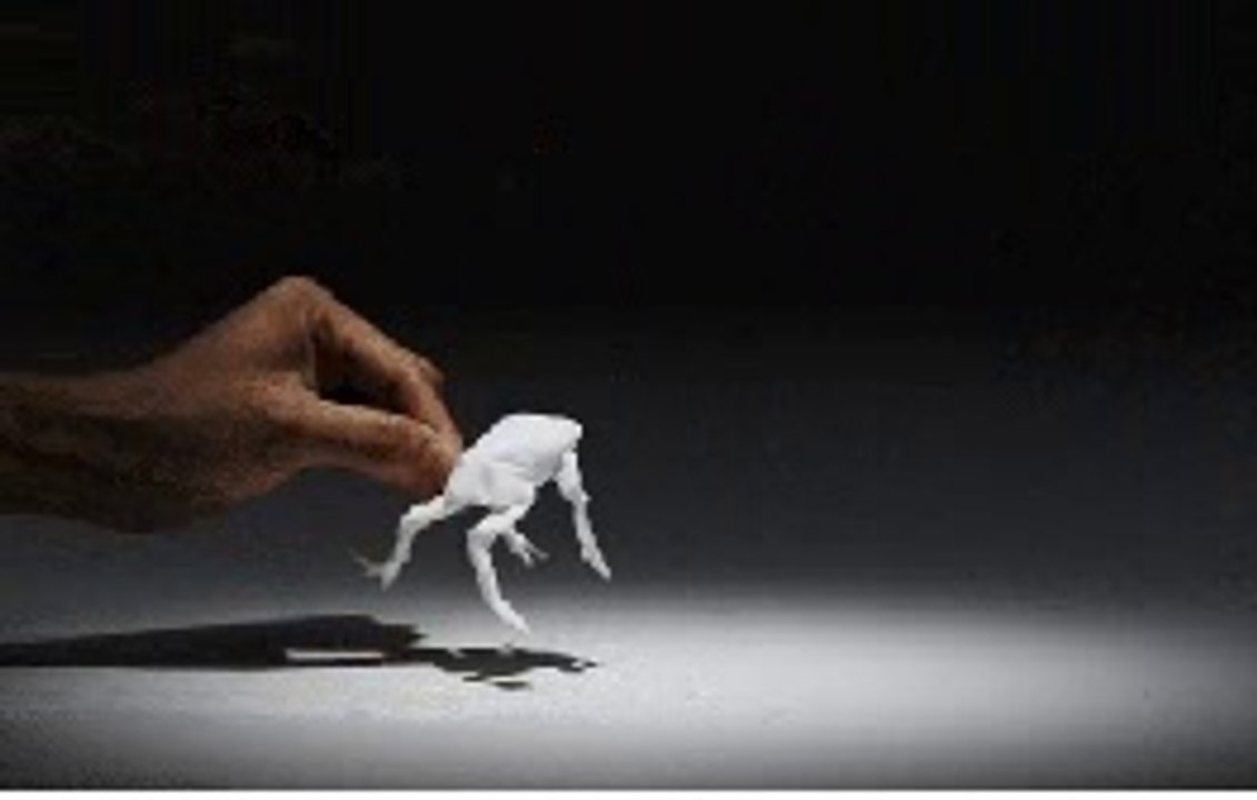 FANTASTIC FUNNY GAME PAPER