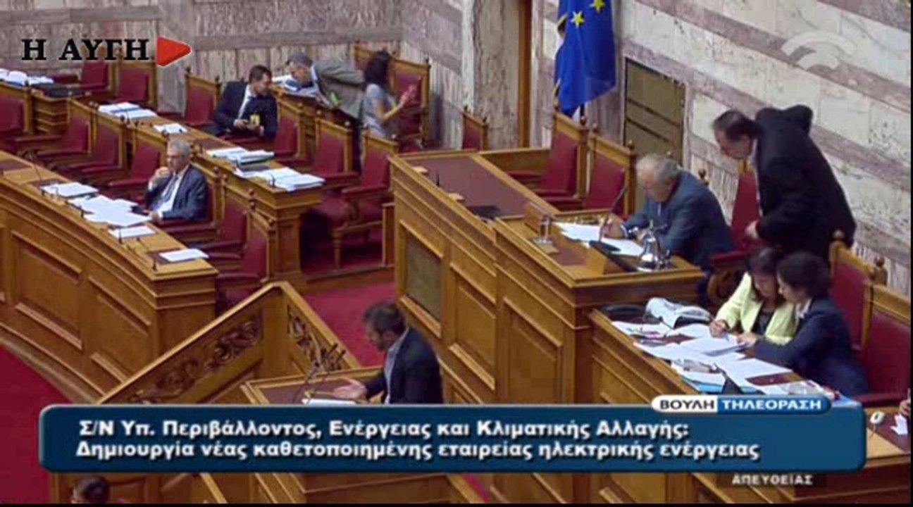 Μεϊκόπουλος Αλέξανδρος για μικρή ΔΕΗ