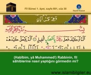 Fil Suresi 105