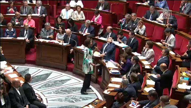 Assemblée nationale / Maïna Sage - George Pau Langevin