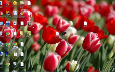 Adobe Photoshop CS6 8th Class