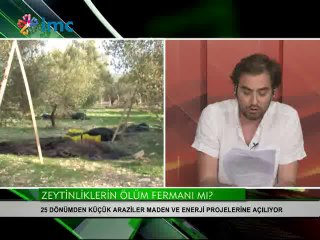Zeytinlikler nükleer santrale feda ediliyor