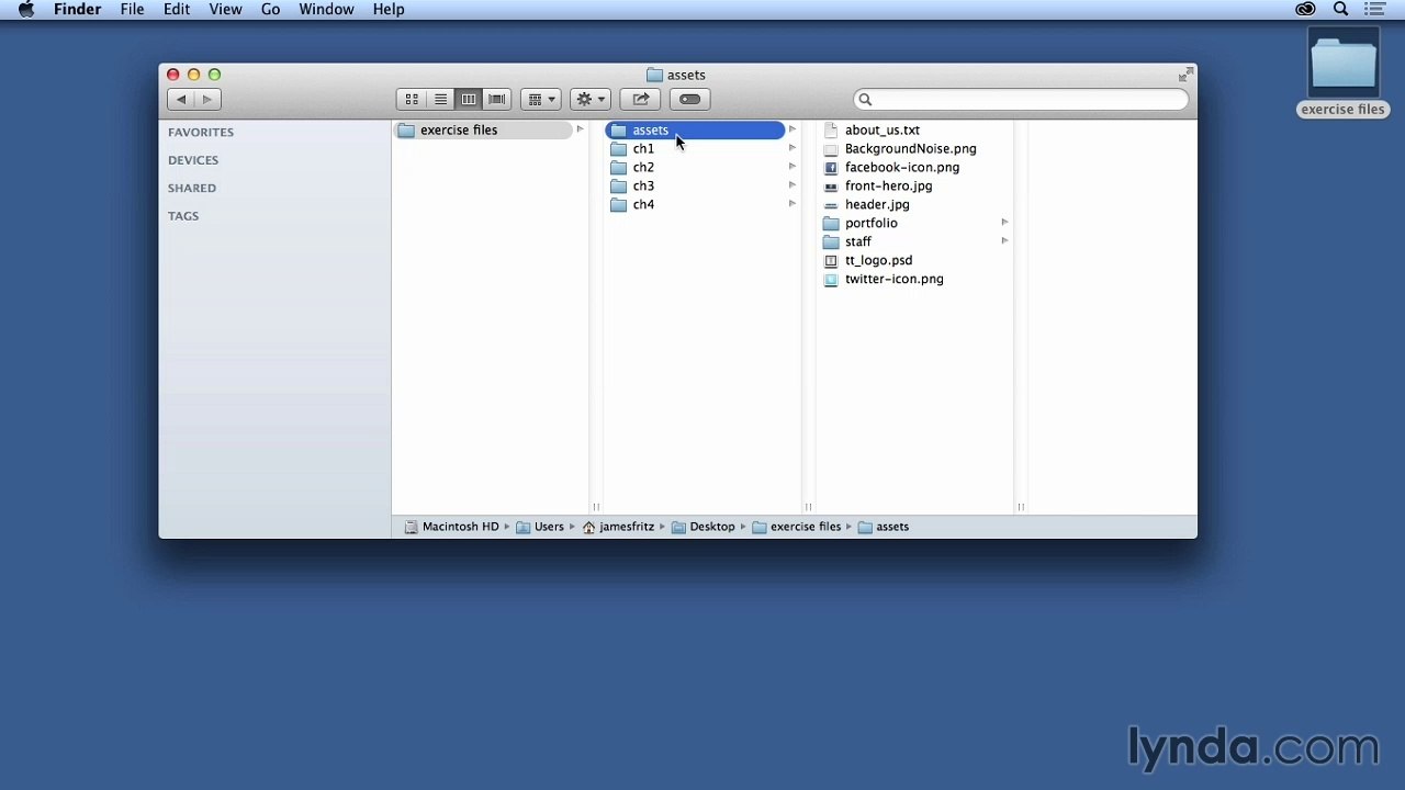 Up and Running with Muse with James Fritz Using the exercise files