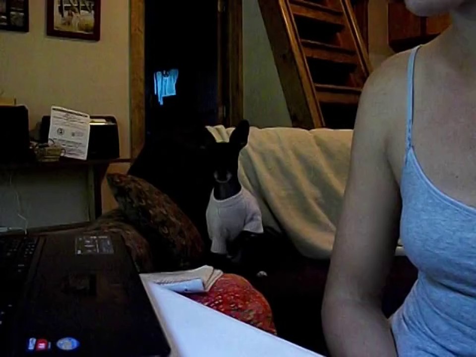 Is Chili Beggin'