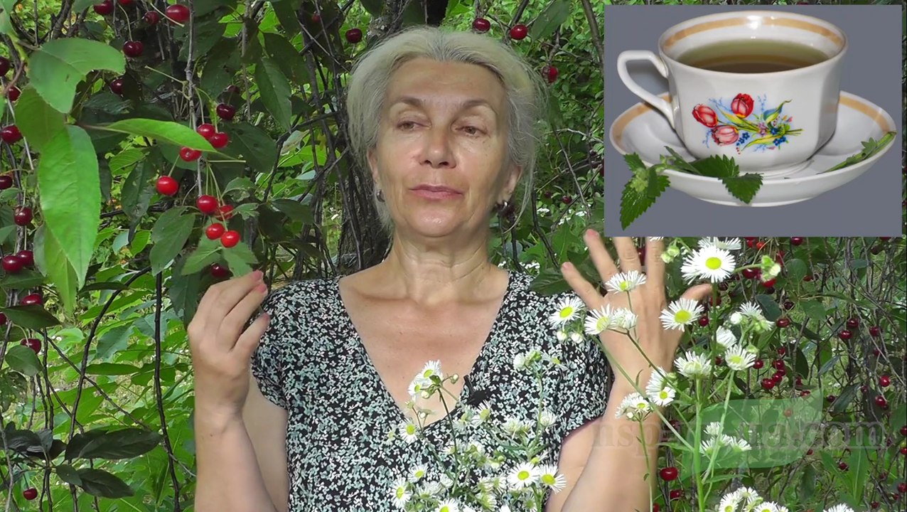 Рецепт приготовления чая с мятой перечной