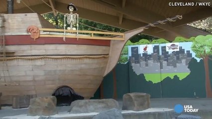 Forget NBA analysts, an owl picks LeBron's next move