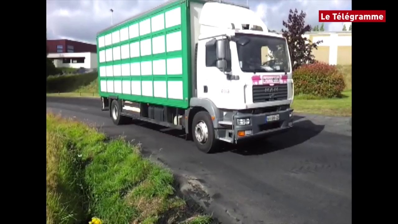 Lampaul-Guimiliau (29). Deux bétaillères devant l'ancien abattoir Gad