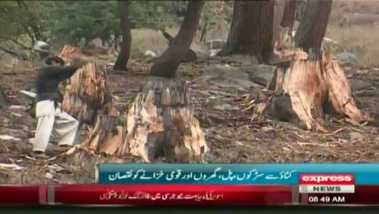 Download Video: Environment Forest Nature in swat valley kalam by  sherin zada