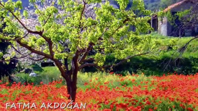 GRUP YOL-SARIL KENDİNE