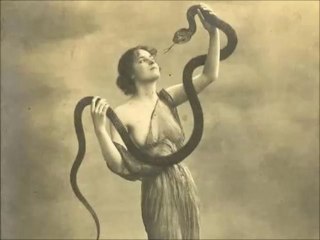 Mystery Plane - Snakebite