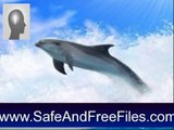 Get Living Dolphins 3D Screensaver 2.01 Serial Number Free Download
