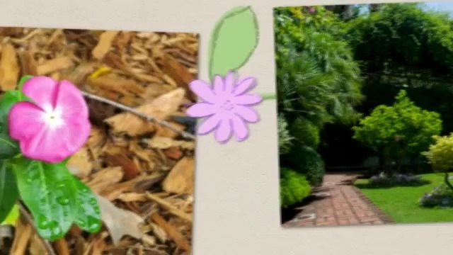 Grade and Seed Hydro Seeding and Landscaping (574) 536-0221