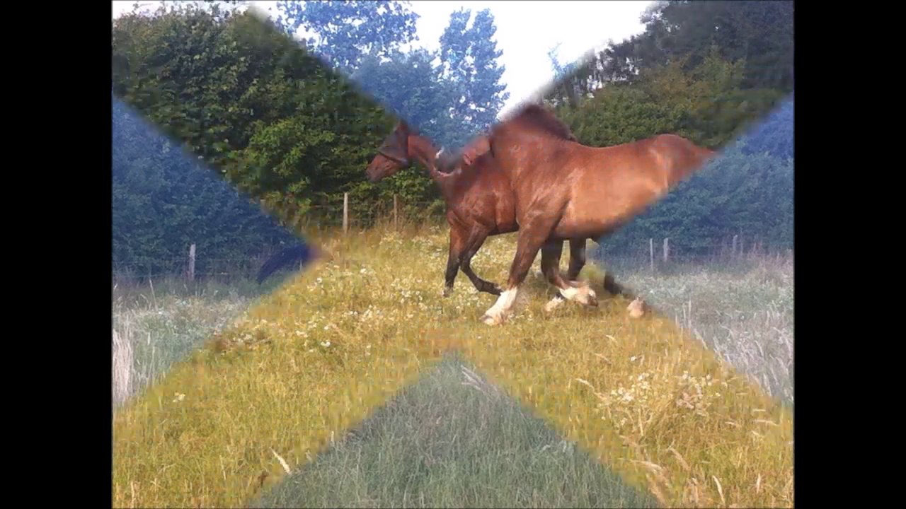 vitesse et virunga