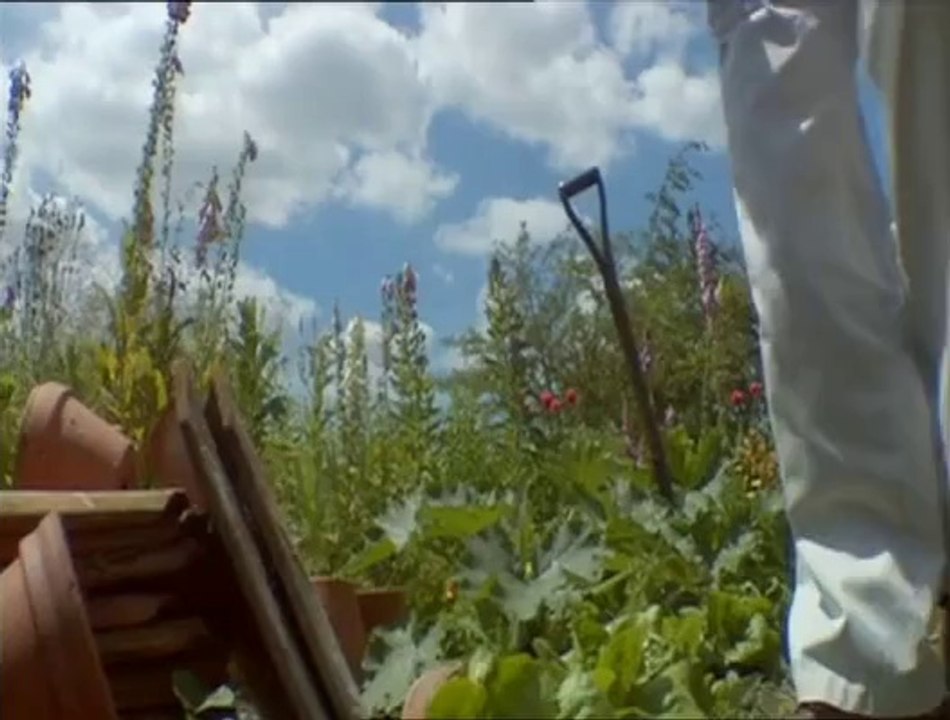 Verborgene Welten - Das geheime Leben der Insekten