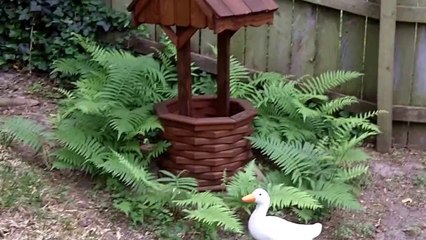 2011-04-20  Part 2  Turtle  Turtle  Turtle