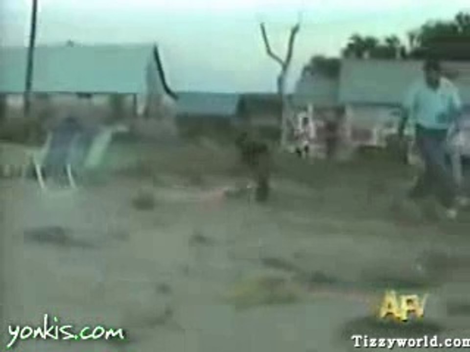 Creazy Dog fire