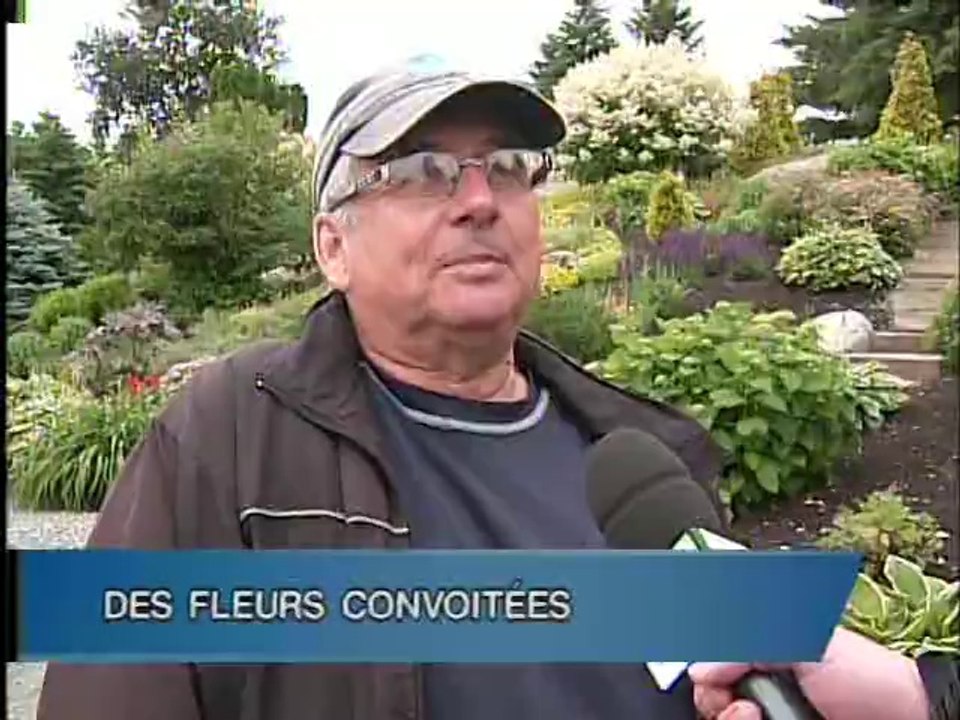 9 Juillet 2014 - Le TVA Nouvelles de 18h Abitibi-Témiscamingue